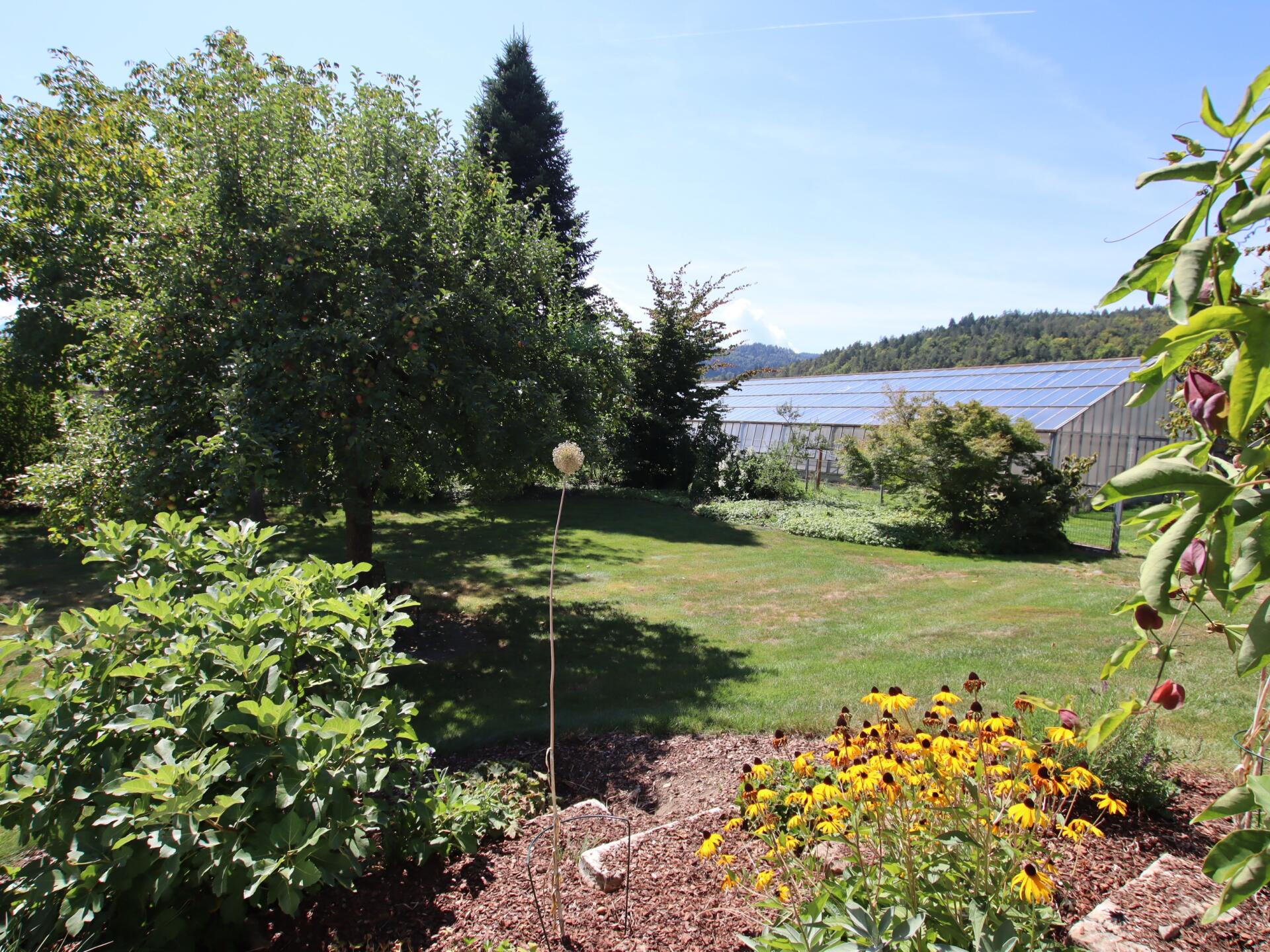 270m² Bungalow mit ausgebautem Dachgeschoss und 1.318m² Grund in Viktring in TOPLAGE