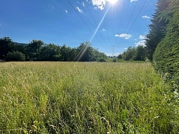 Schiefling Hafnersee Nähe - Schöne landwirtschaftliche Flächen mit 3.208m² - Nähe Hafnersee