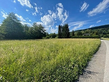 landwirtschaftliche Grundstück Flächen - Schöne landwirtschaftliche Flächen mit 3.208m² - Nähe Hafnersee