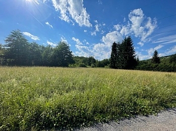 Schiefling Hafnersee Nähe - Schöne landwirtschaftliche Flächen mit 3.208m² - Nähe Hafnersee