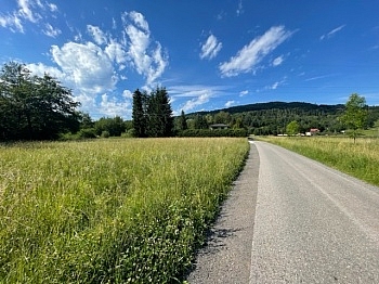 Schiefling Hafnersee Nähe - Schöne landwirtschaftliche Flächen mit 3.208m² - Nähe Hafnersee