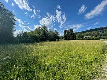 flaches Bauland handelt - Schöne landwirtschaftliche Flächen mit 3.208m² - Nähe Hafnersee