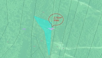 Laminat Heizung gesamt - Altes Bauernhaus mit 9.782m² Grund und traumhafter Aussicht - Klagenfurt Land