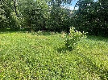 eventl Wasser liegt - Schöner großer 1.176m² Baugrund in Wölfnitz - Hanglage