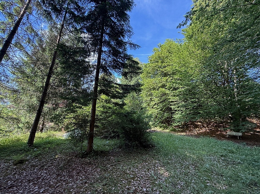 -Älteres 250m² Wohnhaus am Waldrand mit 3.528m² Grundstück in Klagenfurt - Quellenstraße